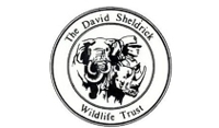 David-Sheldrick-Wildlife-Trust