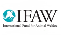 IFAW UK
