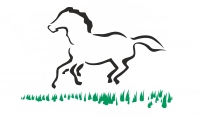 South-West-Equine-Protection South-West-Equine-Protection