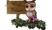  Wing-and-a-Prayer