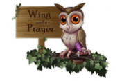 Wing-and-a-Prayer