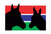 Gambia-Horse-and Donkey-Trust