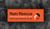  Rain-Rescue