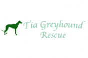 Tia-Greyhound-Rescue