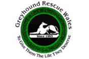 Greyhound-Rescue-Wales