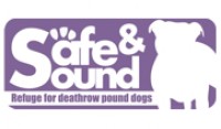  Safe-and-Sound-Pound-Dogs