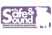 Safe-and-Sound-Pound-Dogs