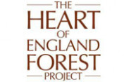 The-Heart-of-England-Forest