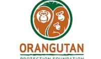  Orangutan-Protection-Foundation