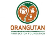 Orangutan-Protection-Foundation
