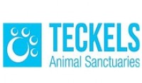  Teckels-Animal-Sanctuaries