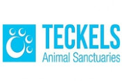 Teckels-Animal-Sanctuaries