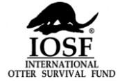 International-Otter-Survival-Fund