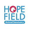 Hopefield Animal Sancturary