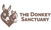  The-Donkey-Sanctuary