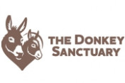 The-Donkey-Sanctuary