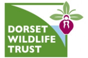 Dorset-Wildlife-Trust