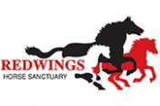 Redwings-Horse-Sanctuary