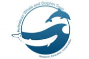 Hebridean-Whale-and-Dolphin-Trust