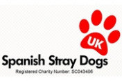 Spanish-Stray-Dogs-UK
