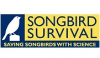  SongBird-Survival