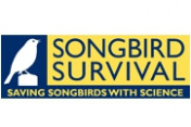 SongBird-Survival