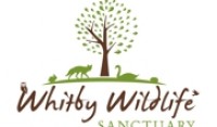  Whitby-Wildlife-Sanctuary