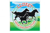 LLuest Horse and Pony Trust