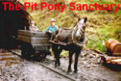 Pit Pony Sanctuary